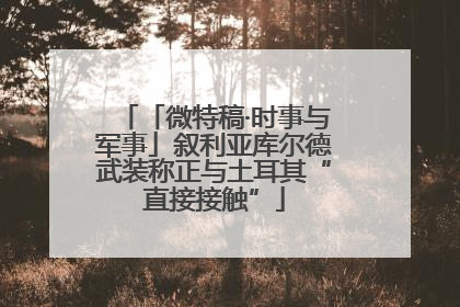 「微特稿·时事与军事」叙利亚库尔德武装称正与土耳其“直接接触”